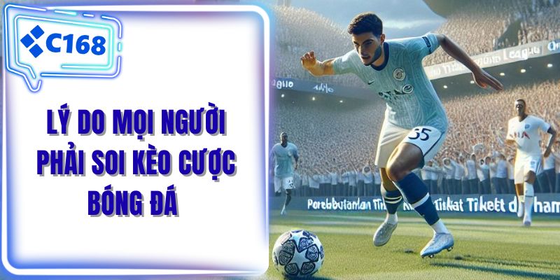 Lý do mọi người phải soi kèo cược bóng đá 